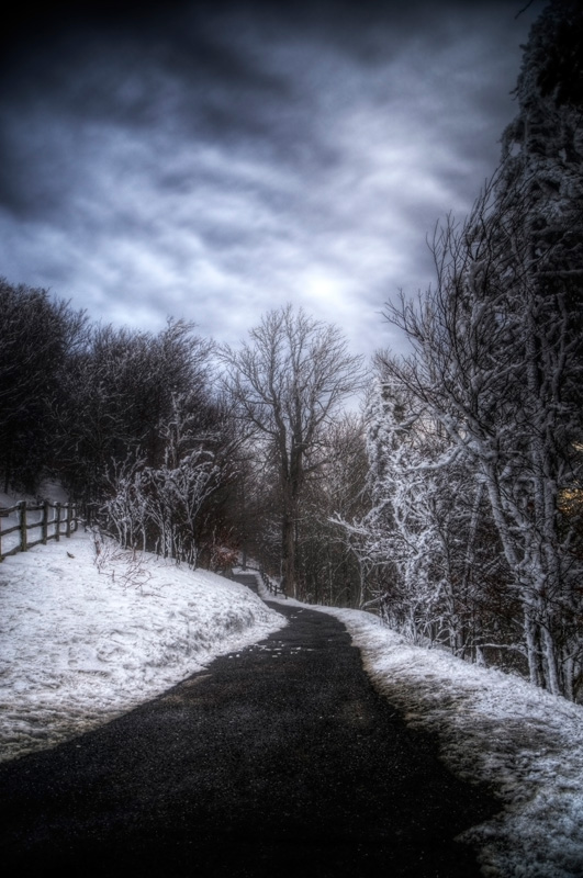 Winter photo