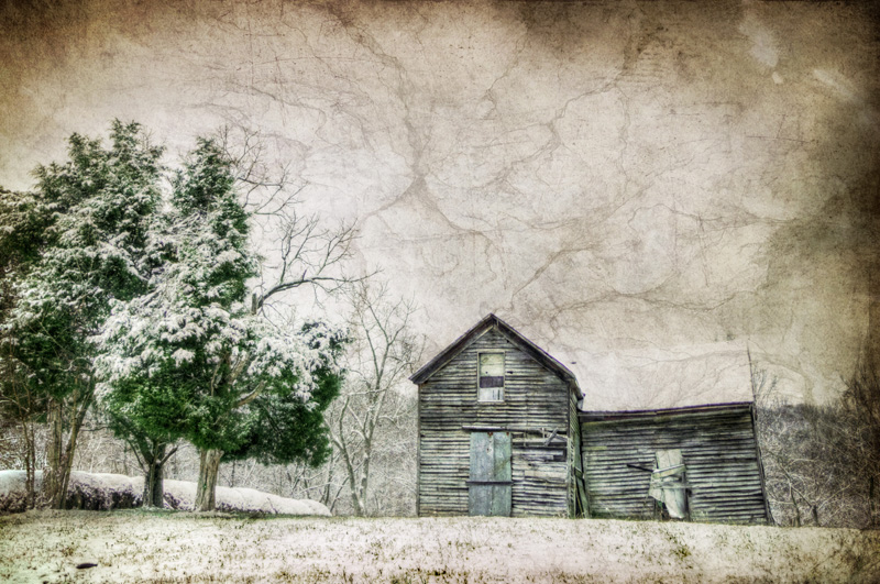 Winter2 Picture