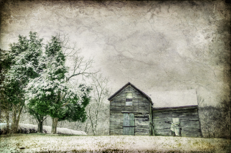Winter3 Picture