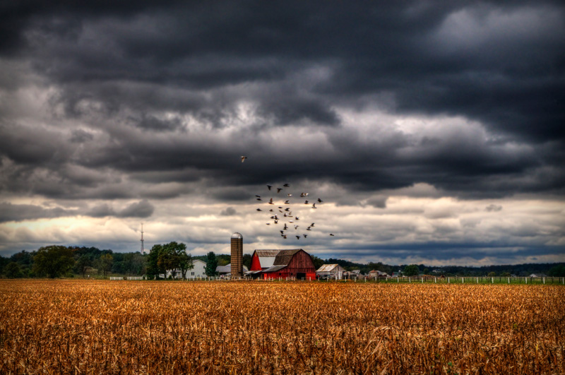 Photo of red barn with birds and clouds.