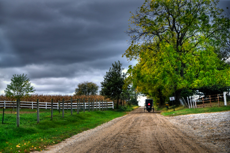 Photo of Amish buggy.