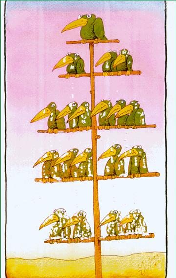 Organization Chart