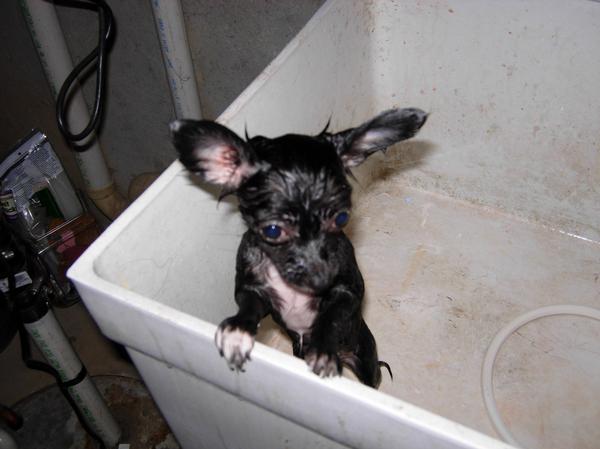 Bath Time